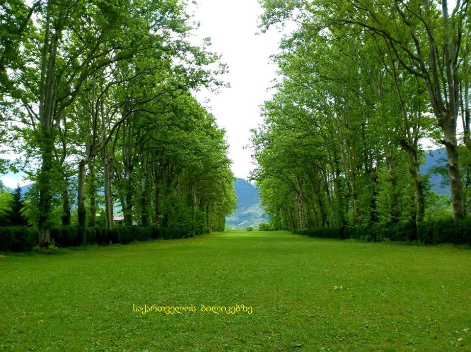 მარტვილი - სალხინო - ოკაცე