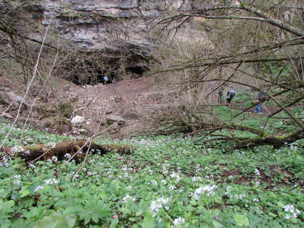 ისუნთქე სუფთა ჰაერი რაჭაში