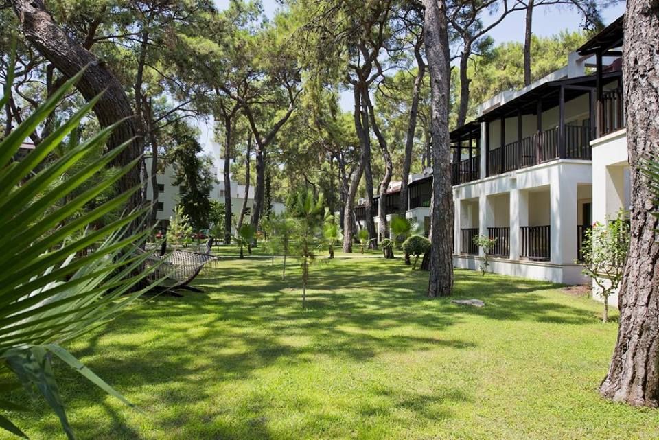 დღის შემოთავაზება!!!! საუკეთესო ფასები თურქეთი, ანტალიის მიმართულებით.