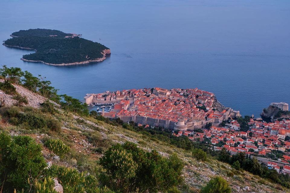 აქცია - + ავიაბილეთი უფასოდ ! ! !