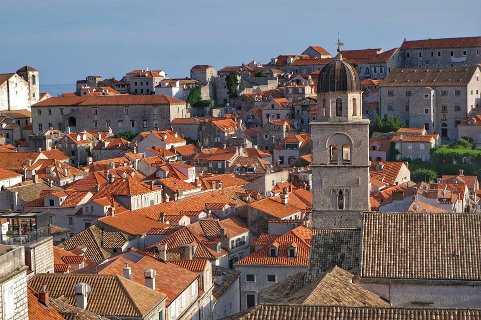 აქცია - + ავიაბილეთი უფასოდ ! ! !