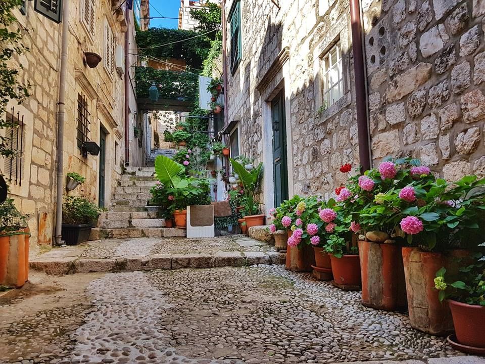 აქცია - + ავიაბილეთი უფასოდ ! ! !