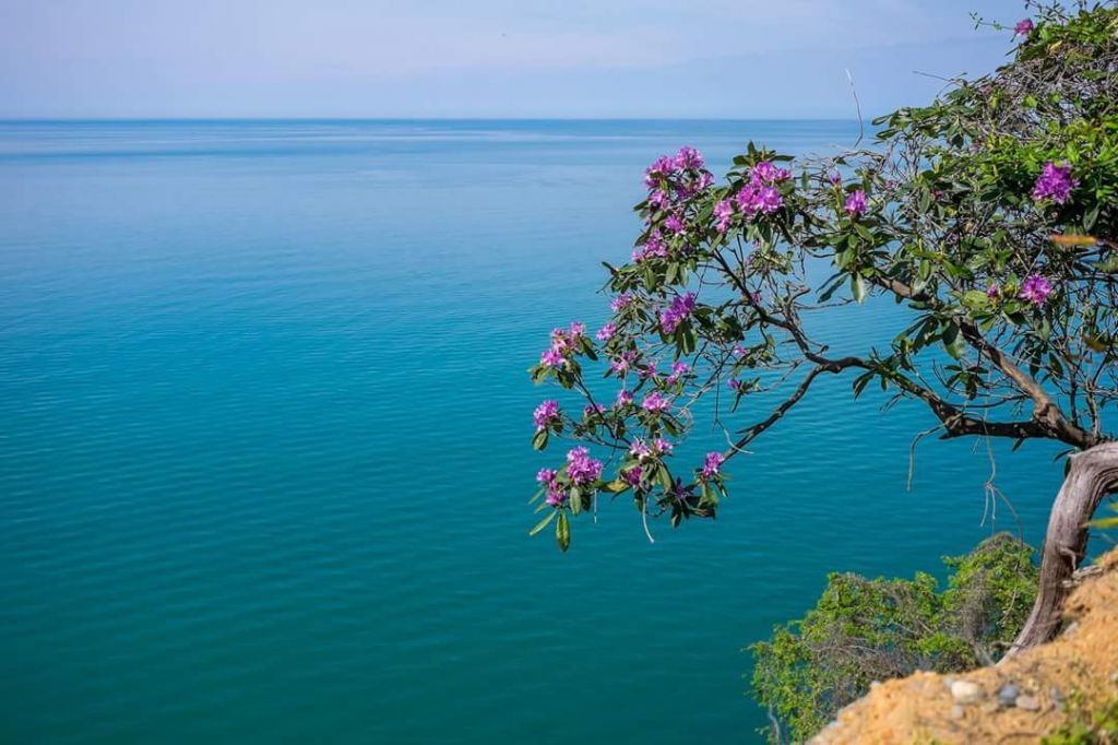 ბათუმი-მწვანე კონცხი-გონიოს ციხე.... ახალი ბულვარი...