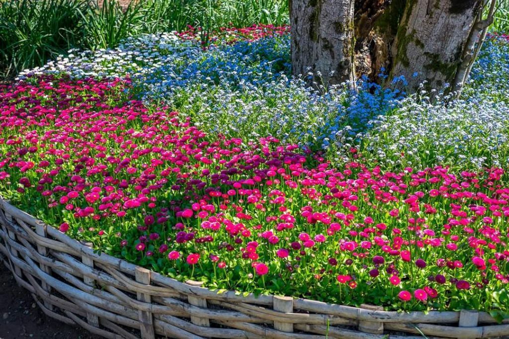 ბათუმი-მწვანე კონცხი-გონიოს ციხე.... ახალი ბულვარი...