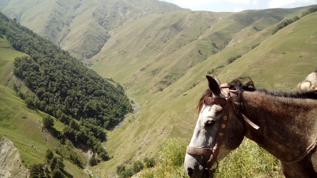 დარჩენილია ადგილი.იმოგზაურეთ გაზაფხულის თუშეთში, ტურები ეწყობა ყოველ პარასკევს-შაბათს-კვირას