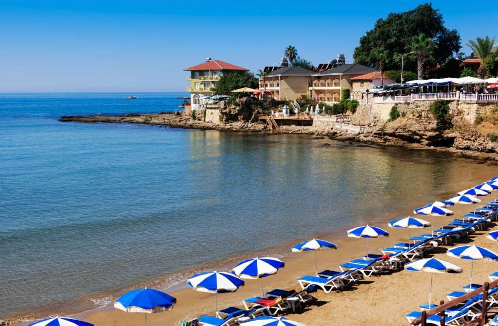 დღის აქცია! თურქეთი !