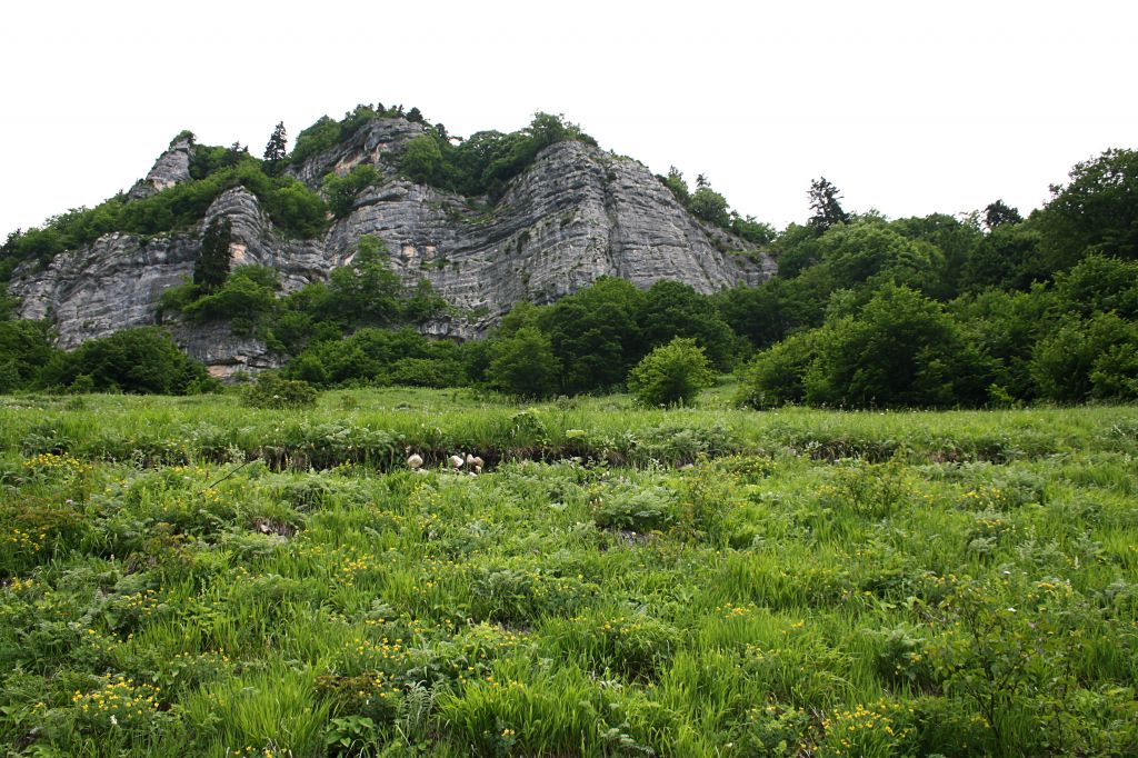 რაჭა გრძელდება!!! ივლისს(კვირას)