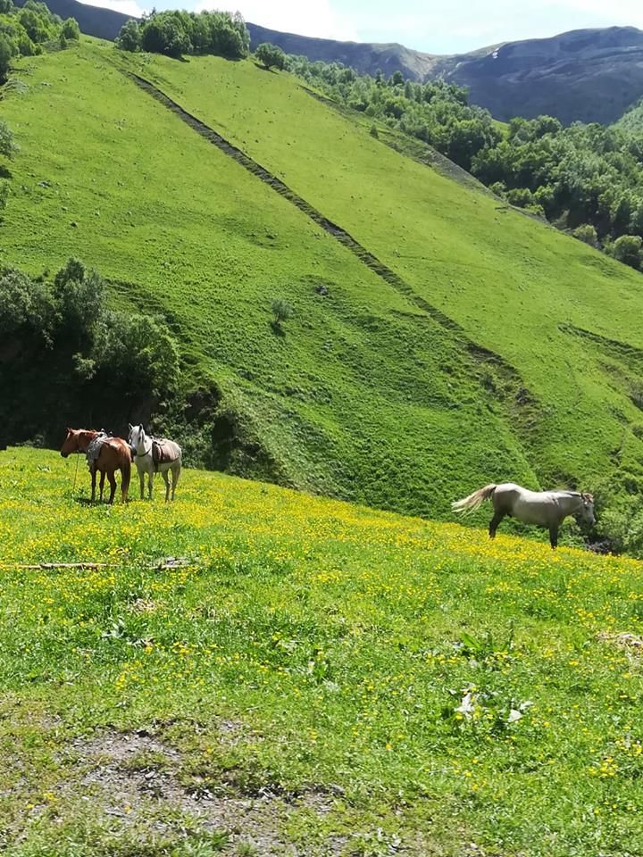 ხევსურეთის დღიანი ტური - აგვისტოს: შატილი,მუცო