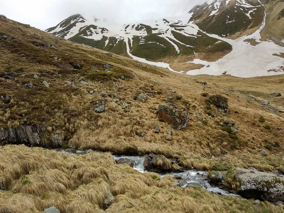 მოინახულე ულამაზესი ჯუთა მხოლოდ +კვება