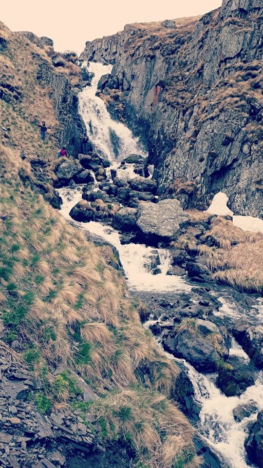 მოინახულე ულამაზესი ჯუთა მხოლოდ  +კვება