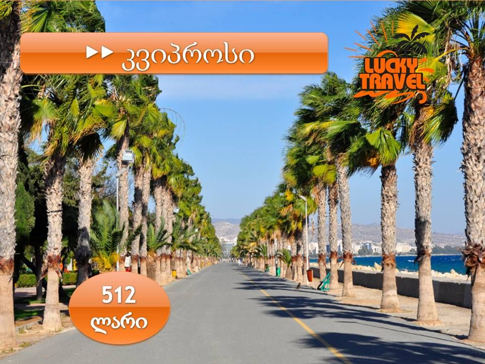 მხოლოდ დღეს ❗ კვიპროსი