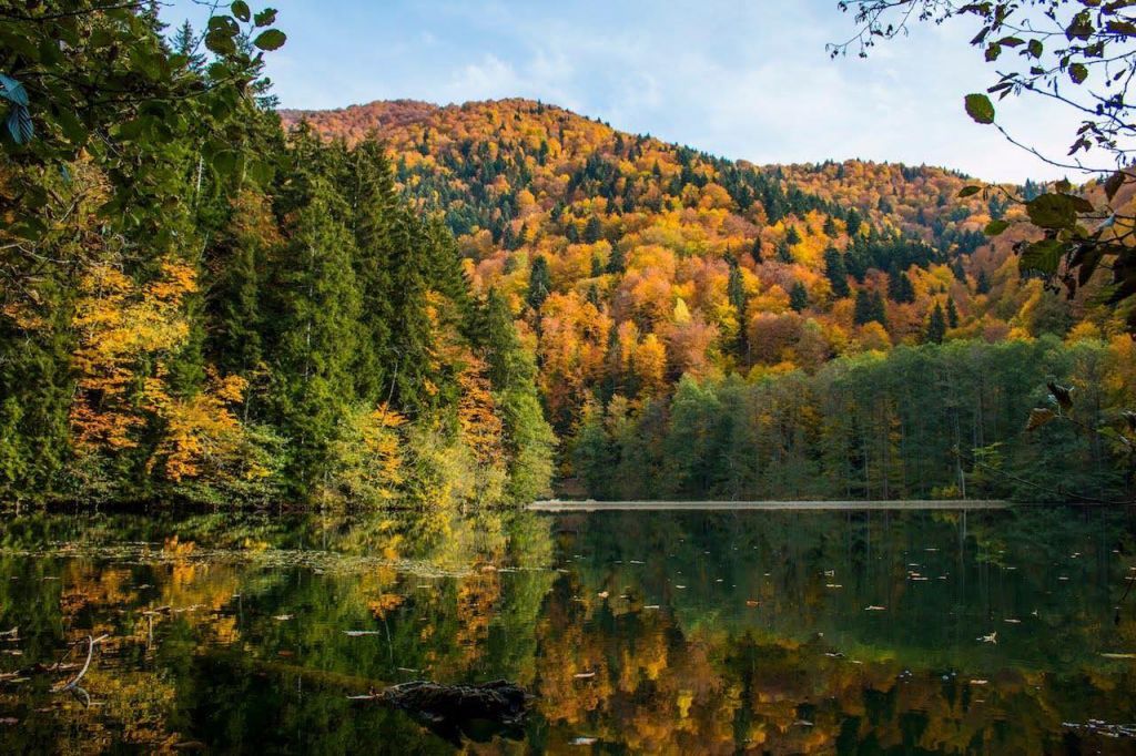 ერთდღიანი მოგზაურობა ბატეთის ტბაზე!