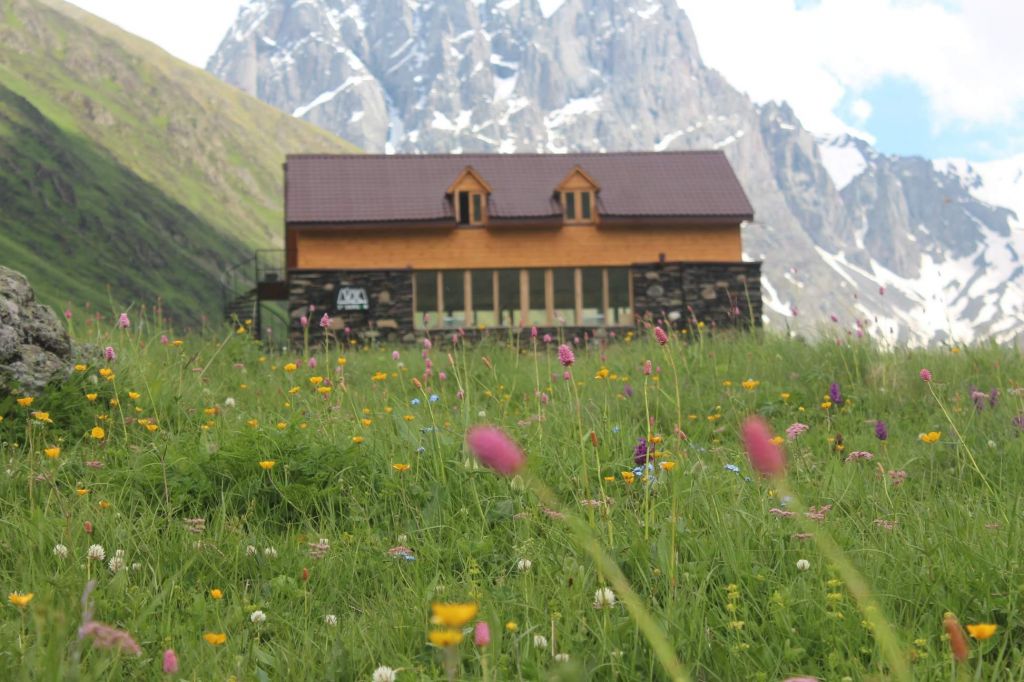 ჯუთა ივნისს (ხვალ)