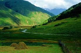 დღიანი ტურის ჯუთას ხეობაში