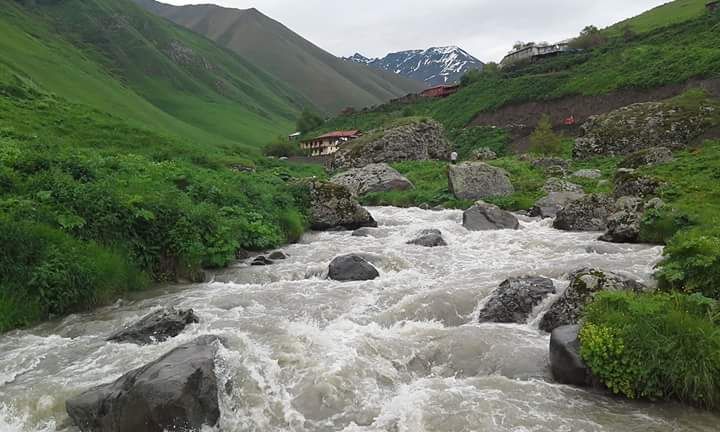 ივლის ჯუთა