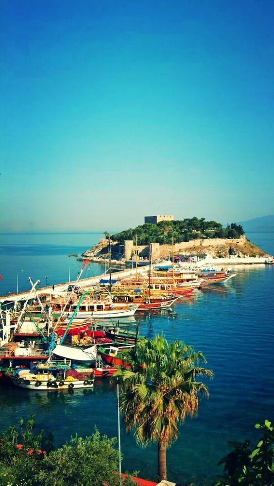 კუშადასი