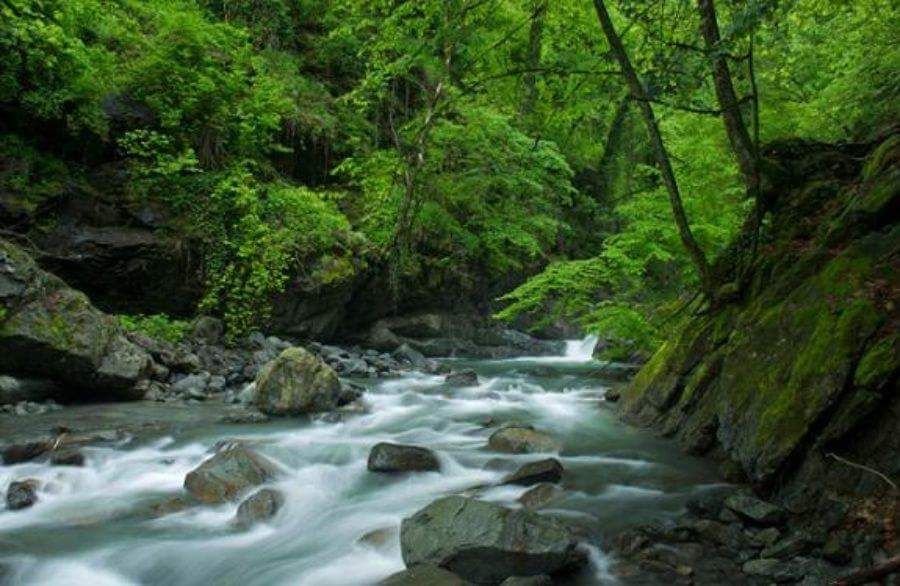 ტური გურგენიანის ჩანჩქერზე ( ივლისი, შაბათი)