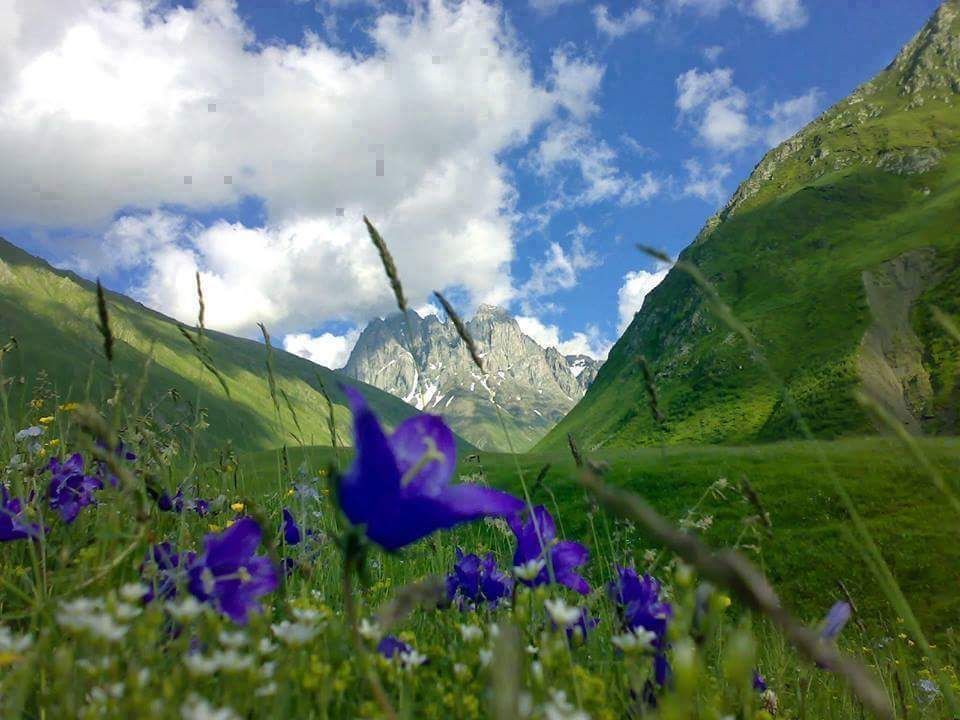 ჯუთას დღიანი ტური - ივლისი, კვირა.