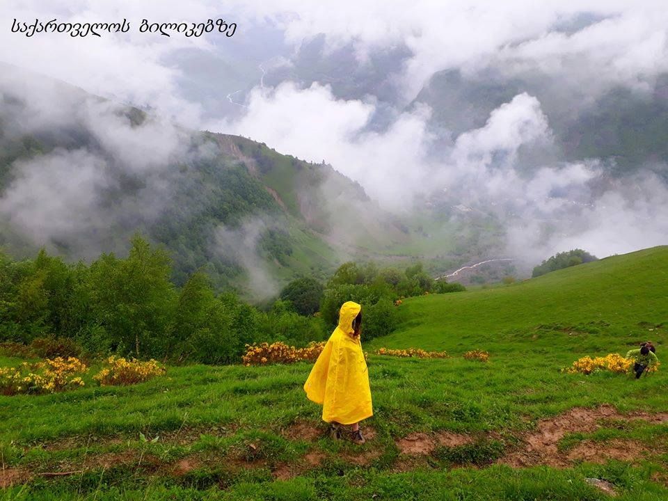 ტური ლომისაზე - ივლისი, შაბათი