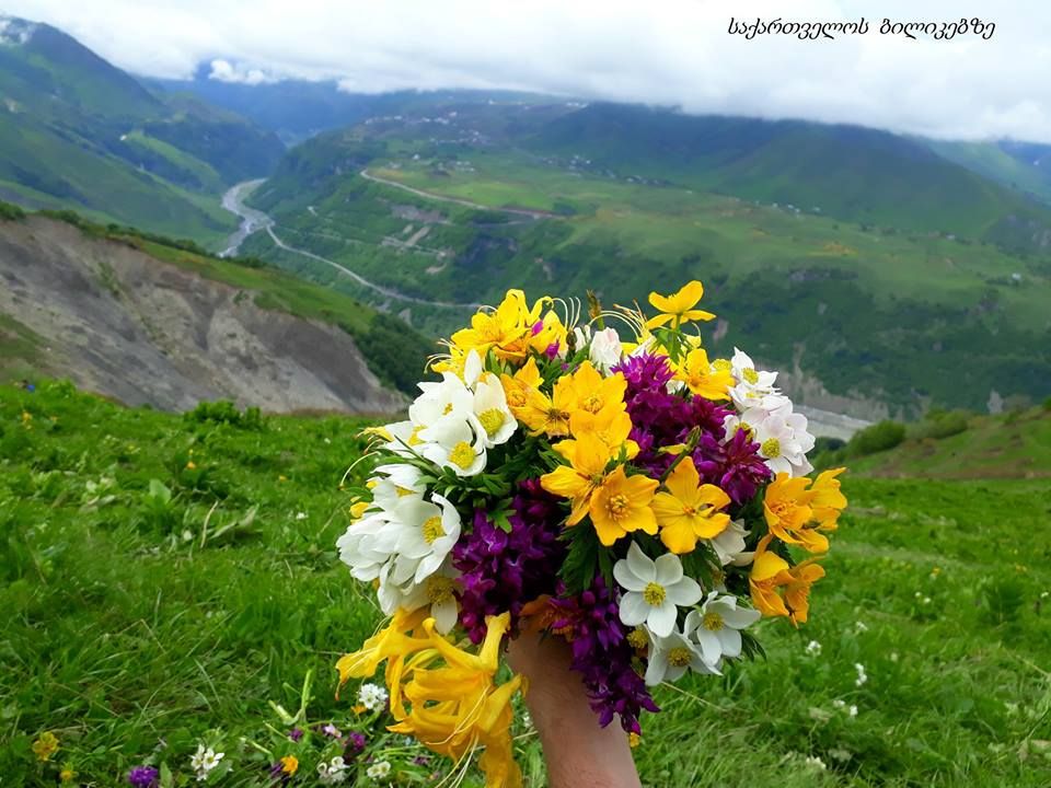 ტური ლომისაზე -  ივლისი, შაბათი