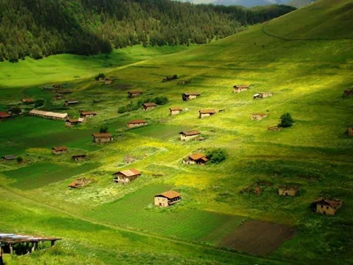 თუშეთი დღიანი ტური - აგვისტო. - სექტემბერი