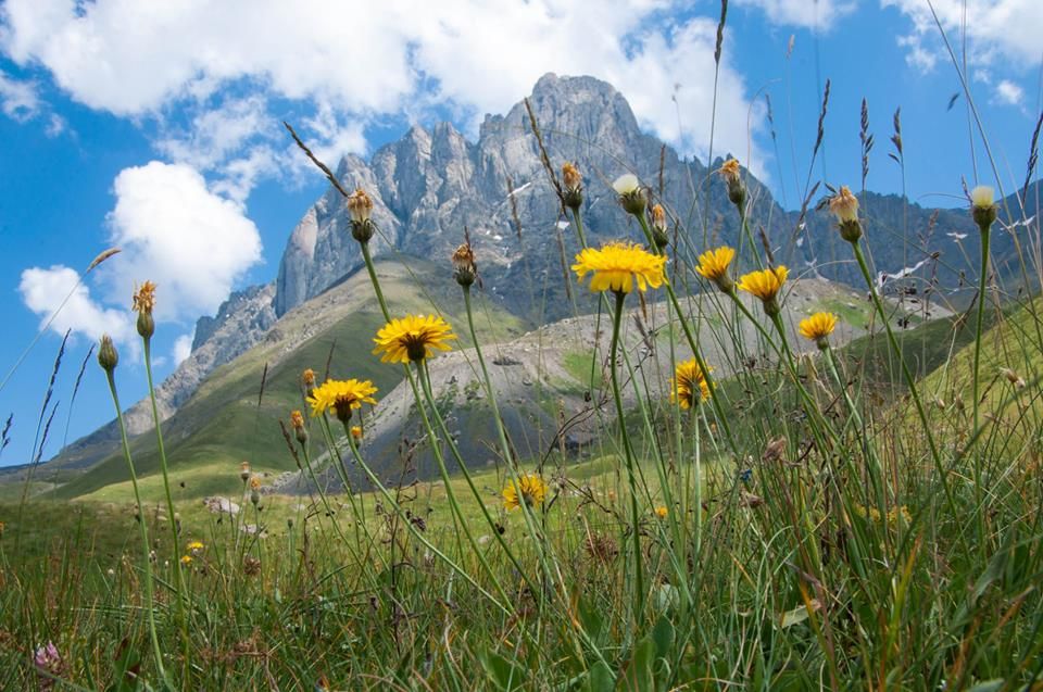 ჯუთა დღიანი ლაშქრობა ( ივლისს კვირას)