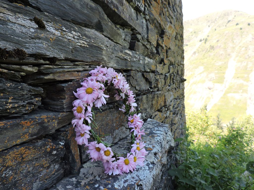 ტური თუშეთში, დღე