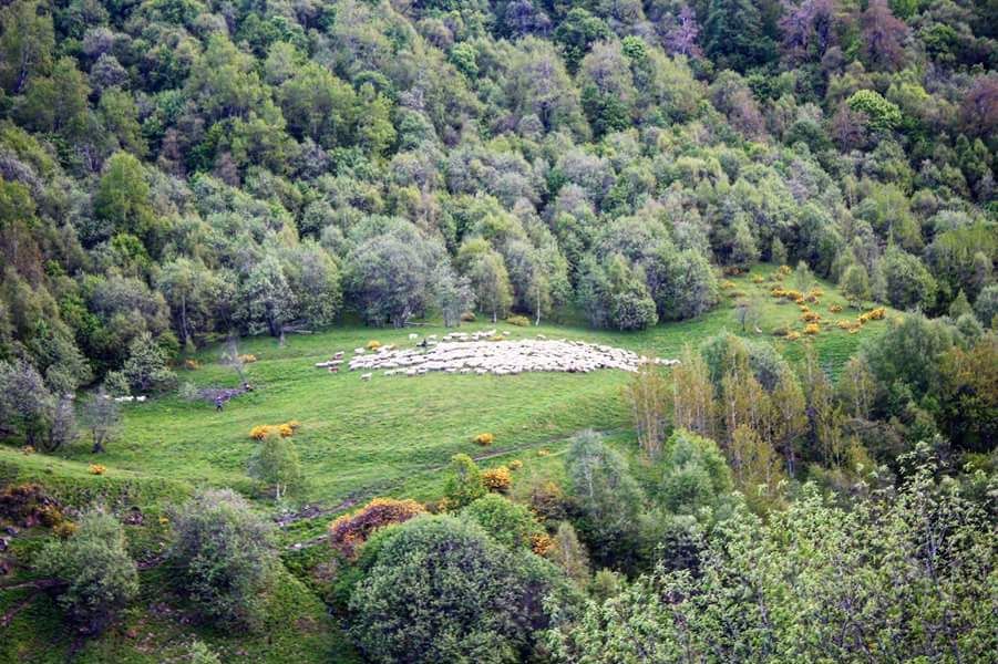 ხევსურეთის ტური - აბუდელაურების ფერადი ტბები