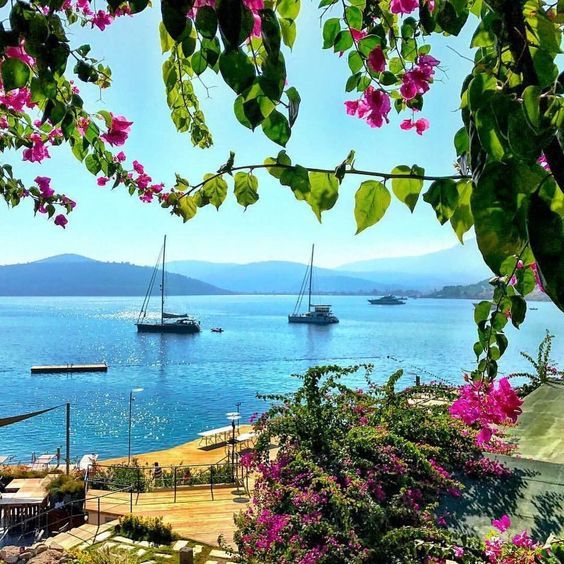 ბოდრუმი/თურქეთი