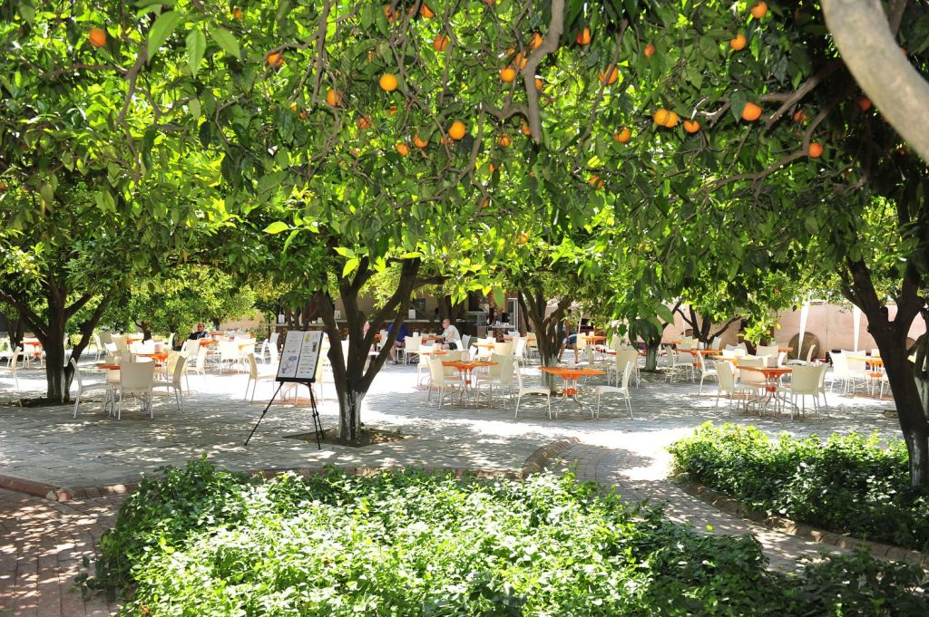 თურქეთი - ალანია დიდი ფასდაკლებით