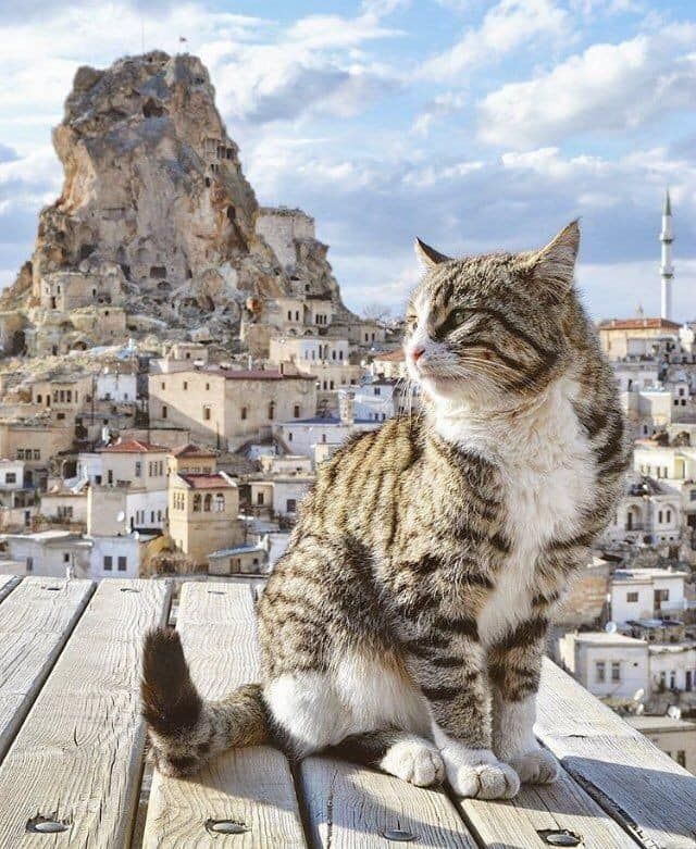 კაპადოკიის ტურები