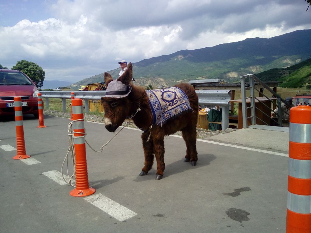 ჯვარი-მცხეთა-შიო მღვიმელის მონასტერი. -დან.