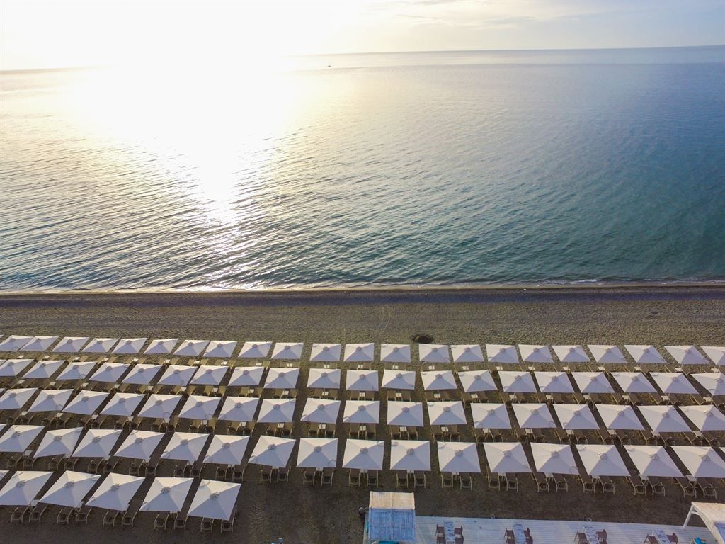 დღის აქცია - პიერია