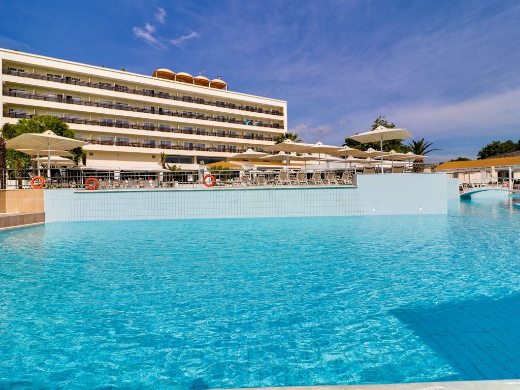 დღის აქცია - პიერია