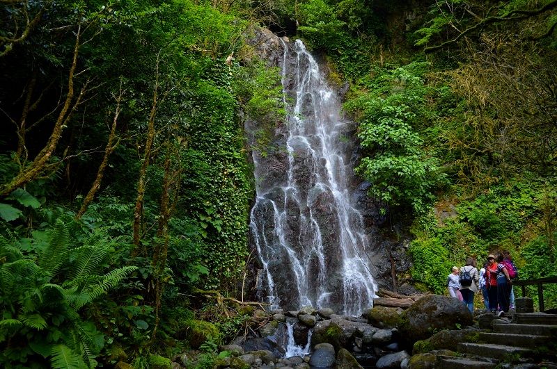 Экскурсия по горной Аджарии - МАХУНЦЕТИ, Мирвети, Аджарский винный дом