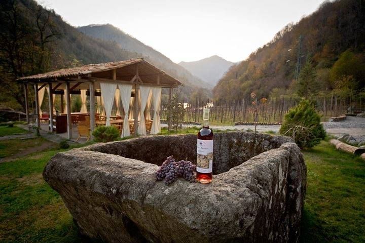 Экскурсия по горной Аджарии - МАХУНЦЕТИ, Мирвети, Аджарский винный дом