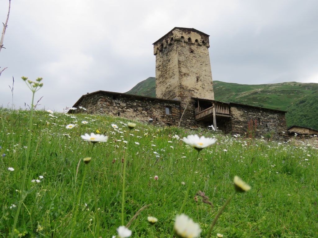 გაატარეთ სვანური დღე პოზიტიურად <