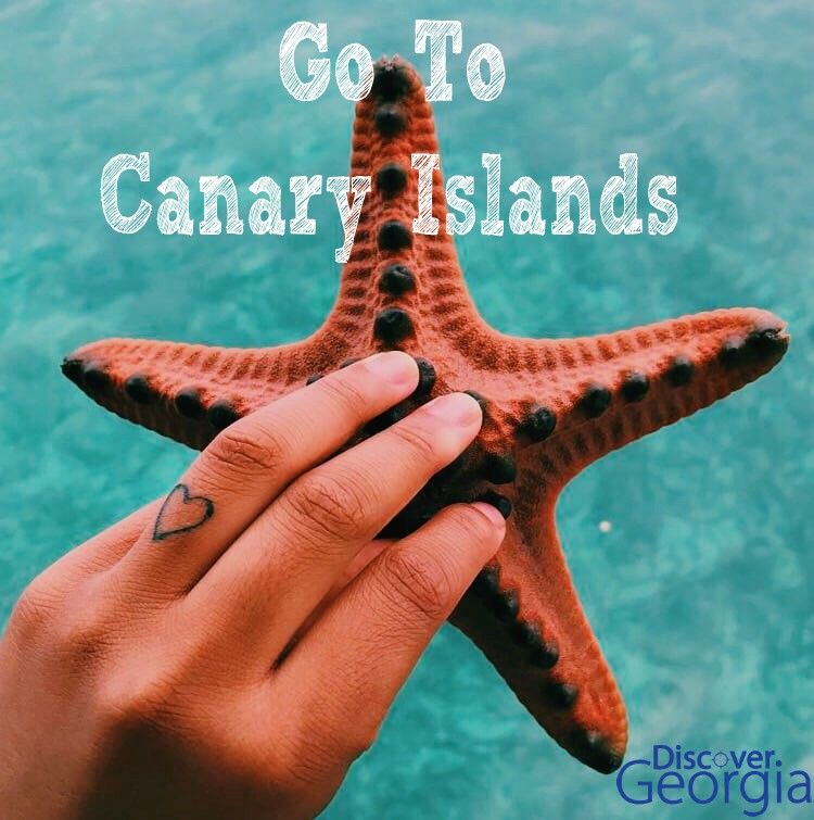 ულამაზესი კანარის კუნძულები
