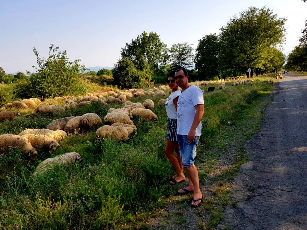 მცხეთა-ჯვარი-შიო მღვიმელი. -ლარიდნ.