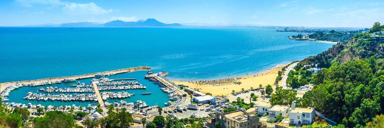 ტუნისი -