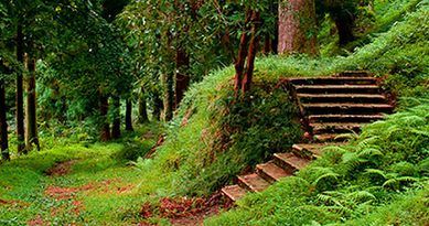 ბოტანიკური ბაღი და პეტრას ციხე 