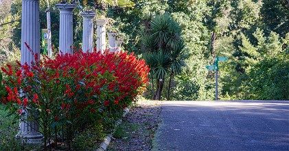 ბოტანიკური ბაღი და პეტრას ციხე