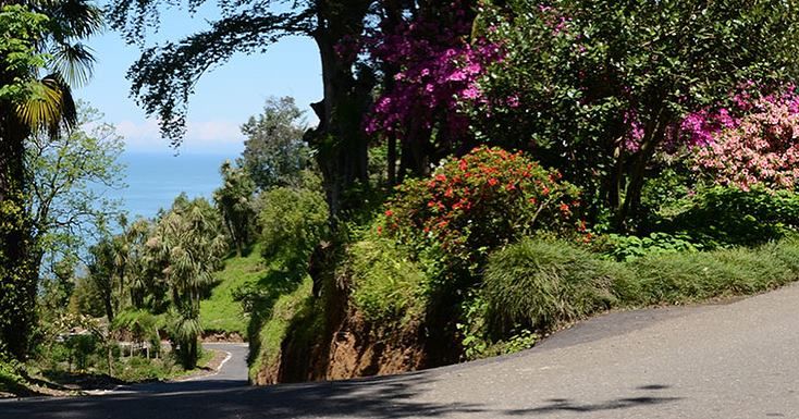 ბოტანიკური ბაღი და პეტრას ციხე