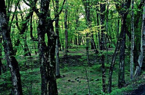 გურგენიანის ჩანჩქერი აგვისტოს