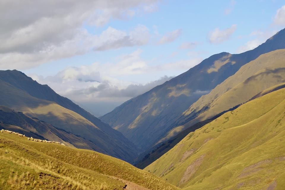 შატილი-მუცო დღიანი ტური