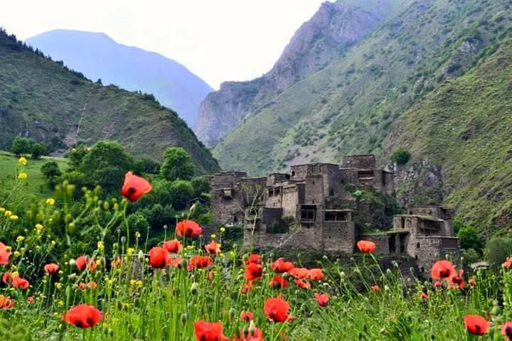 შატილი-მუცო დღიანი ტური