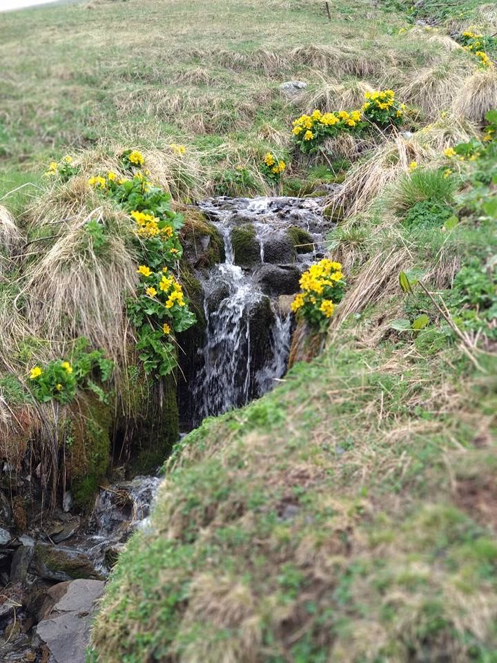 ულამაზესი ჯუთა აგვისტოს - #გამოგვყევი-მიიღე წარუშლელი შთაბეჭდილებები