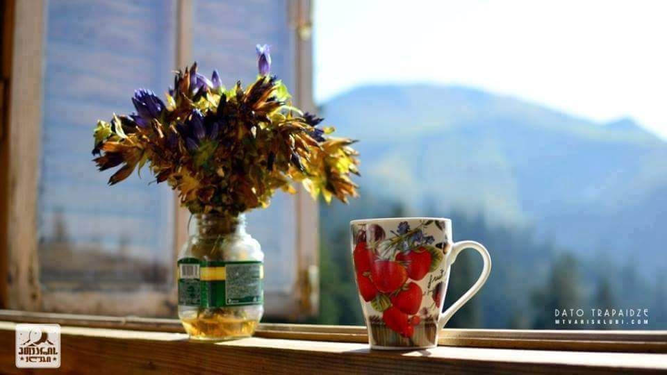 გომის მთა - ბახმარო ( - აგვისტო )