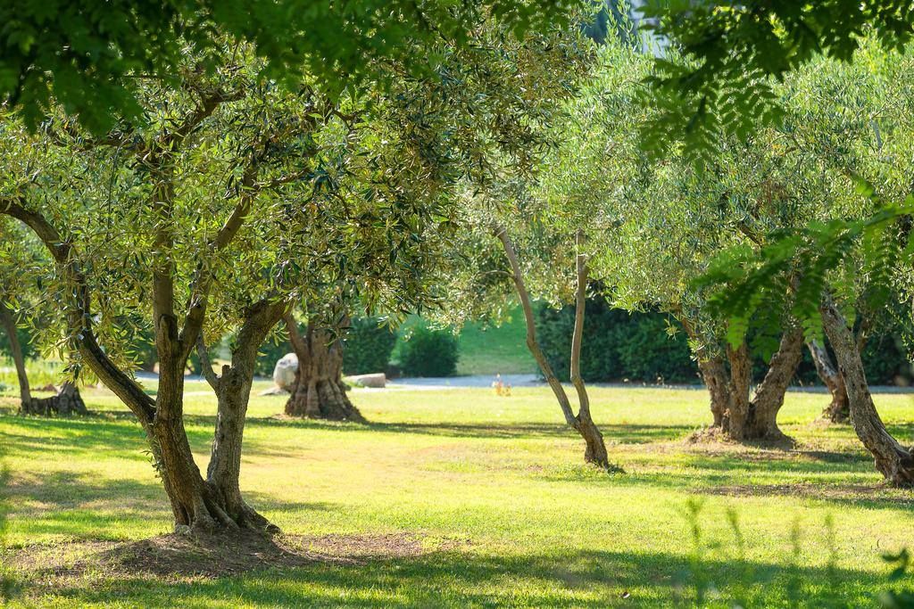 ჰალკიდიკის ყველაზე პოპულარული სასტუმროები სრული საგზურები !!!!