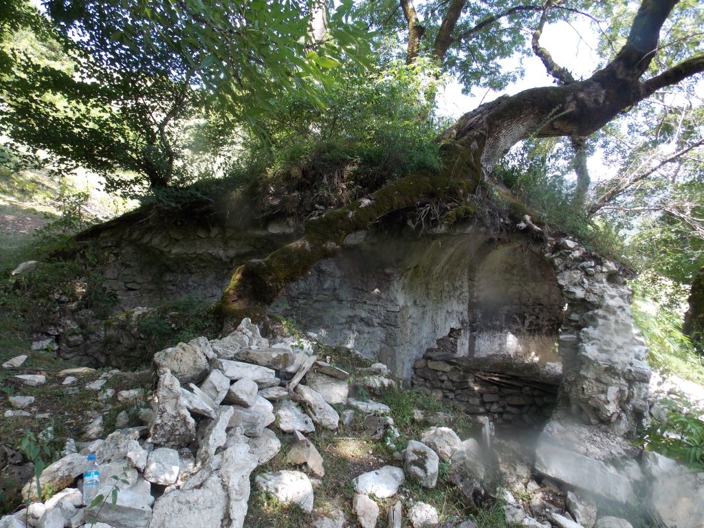 აგვისტოს ერთდღიანი ტური პანკისის ხეობაში